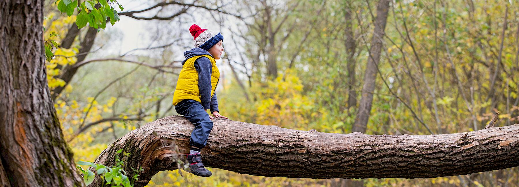 Traumacoaching Fuer Kinder Goettingen Nelly Hiedl